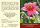 Rosenkranz der Freude - 10 Exemplare
